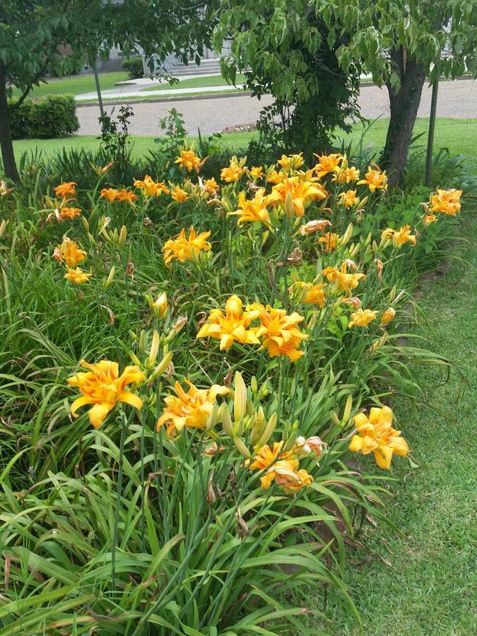 Senatobia Spahn House Bed And Breakfast מראה חיצוני תמונה