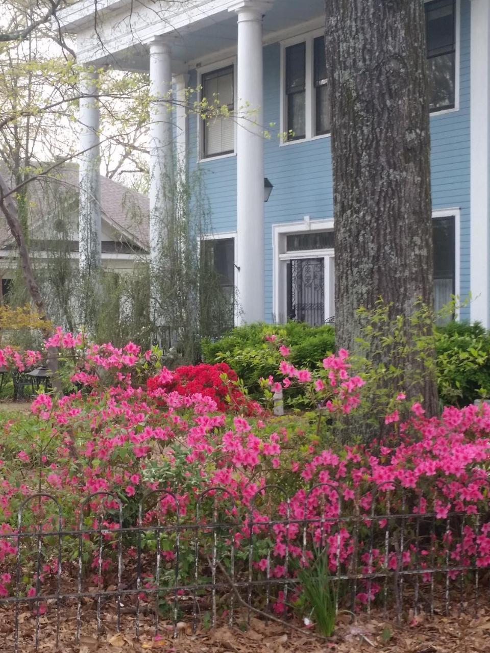 Senatobia Spahn House Bed And Breakfast מראה חיצוני תמונה